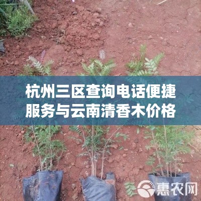 杭州三区查询电话便捷服务与云南清香木价格透明化助力市场稳定发展