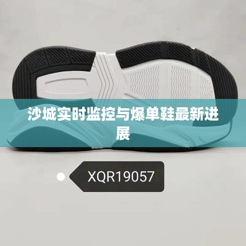 沙城实时监控与爆单鞋最新进展