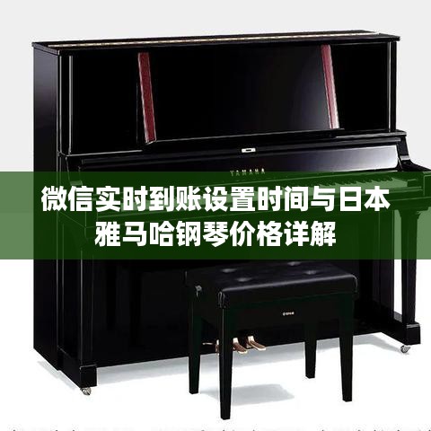 微信实时到账设置时间与日本雅马哈钢琴价格详解