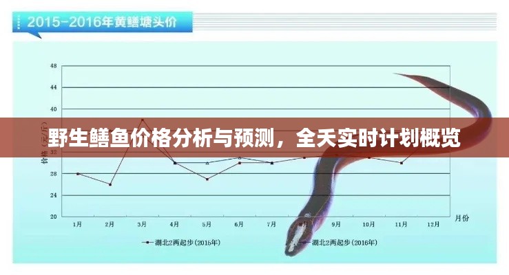 野生鳝鱼价格分析与预测，全夭实时计划概览