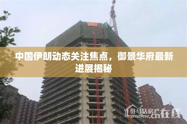 中国伊朗动态关注焦点，御景华府最新进展揭秘