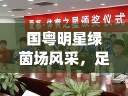 国粤明星绿茵场风采，足球最新动态与内心感悟