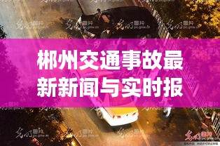 郴州交通事故最新新闻与实时报道的关联及其协同落实建议