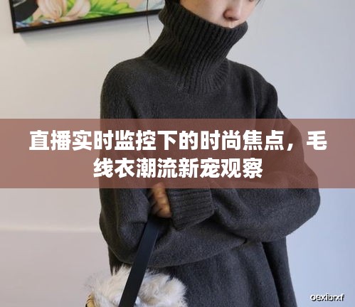 直播实时监控下的时尚焦点，毛线衣潮流新宠观察
