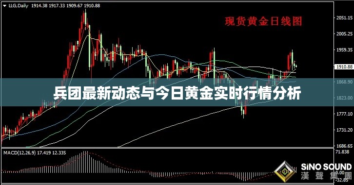 兵团最新动态与今日黄金实时行情分析