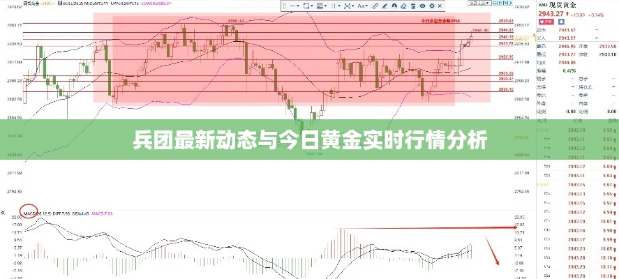 兵团最新动态与今日黄金实时行情分析