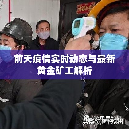 前天疫情实时动态与最新黄金矿工解析