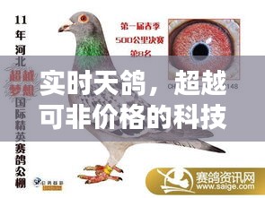 实时天鸽，超越可非价格的科技新星崛起