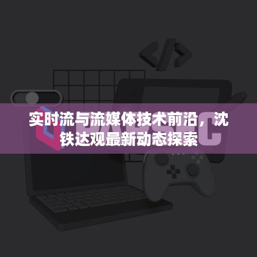 实时流与流媒体技术前沿，沈铁达观最新动态探索
