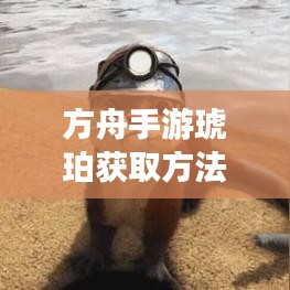 方舟手游琥珀获取方法与蓝月传奇激活码攻略大全