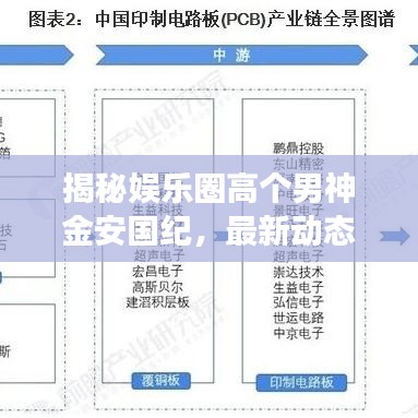 揭秘娱乐圈高个男神金安国纪,最新动态与身高达标的明星朋友们
