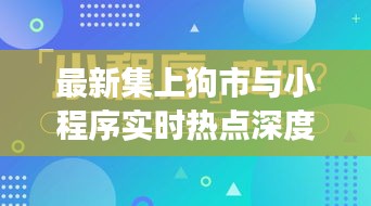 最新集上狗市与小程序实时热点深度剖析