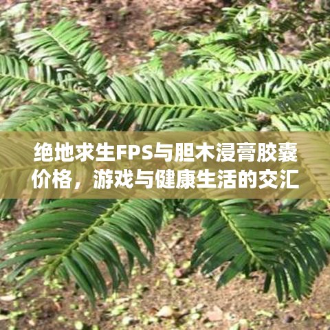 绝地求生FPS与胆木浸膏胶囊价格，游戏与健康生活的交汇点