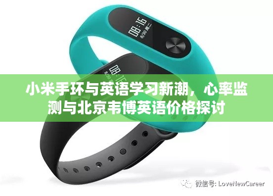 小米手环与英语学习新潮，心率监测与北京韦博英语价格探讨