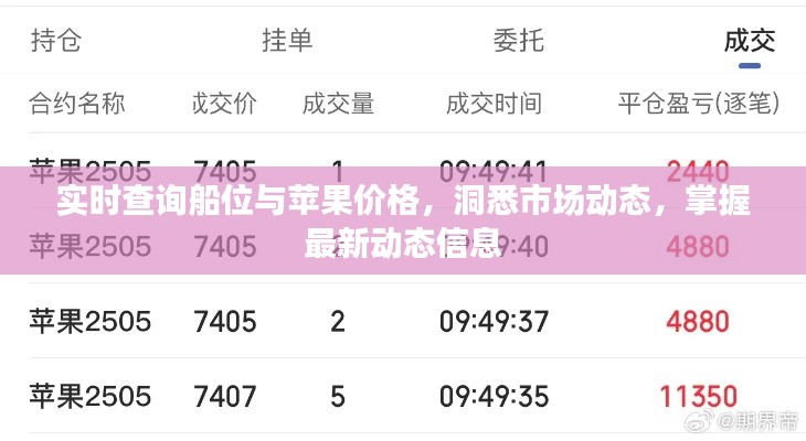 实时查询船位与苹果价格，洞悉市场动态，掌握最新动态信息