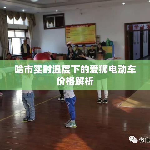 哈市实时温度下的爱狮电动车价格解析