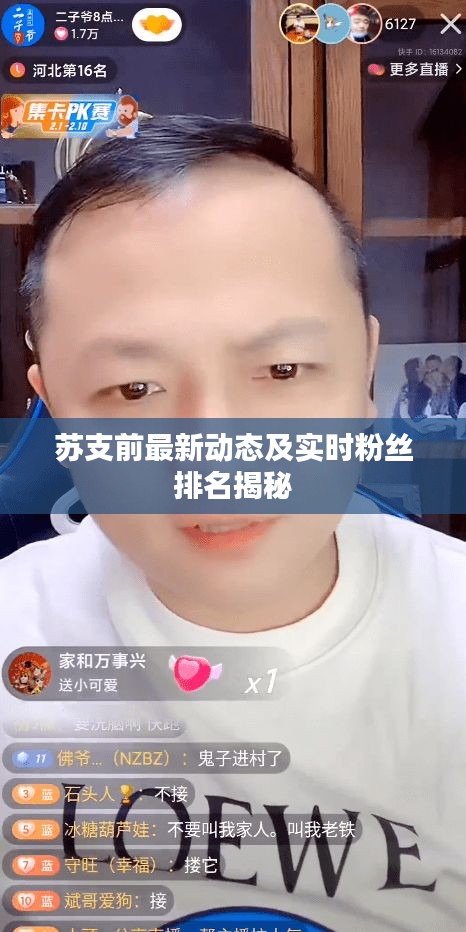 苏支前最新动态及实时粉丝排名揭秘