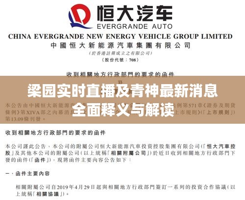 梁园实时直播及青神最新消息全面释义与解读