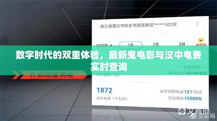 数字时代的双重体验,最新鬼电影与汉中电费实时查询