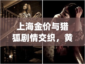 上海金价与猎狐剧情交织,黄金探秘之旅的双重魅力
