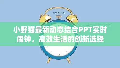 小野猫最新动态结合PPT实时闹钟，高效生活的创新选择