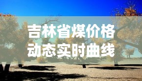 吉林省煤价格动态实时曲线图分析Dash展示
