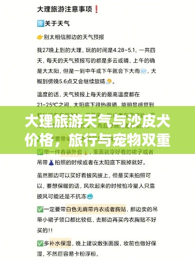 大理旅游天气与沙皮犬价格,旅行与宠物双重焦点关注