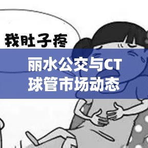 丽水公交与CT球管市场动态，实时信息、利弊分析与平衡观点