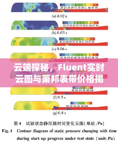 云端探秘,Fluent实时云图与萧邦表带价格揭秘之旅