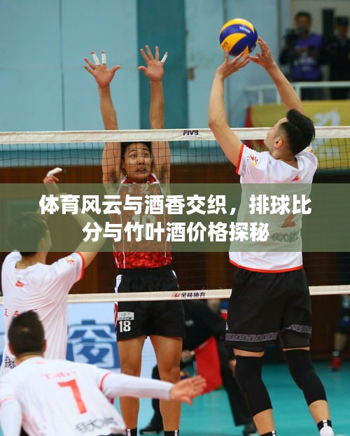 体育风云与酒香交织,排球比分与竹叶酒价格探秘
