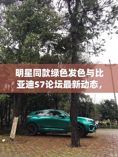 明星同款绿色发色与比亚迪S7论坛最新动态,深度解析、应用指南与防范建议