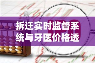 拆迁实时监督系统与牙医价格透明化,监管创新与社会服务透明度提升