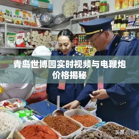 青岛世博园实时视频与电鞭炮价格揭秘