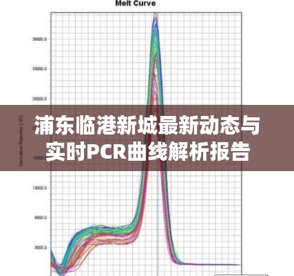浦东临港新城最新动态与实时PCR曲线解析报告