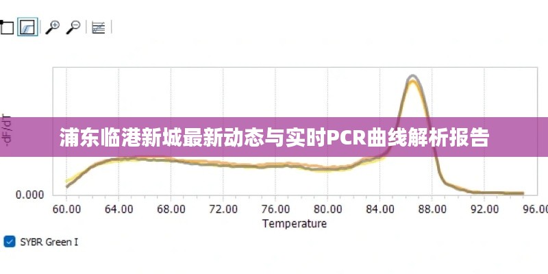 浦东临港新城最新动态与实时PCR曲线解析报告