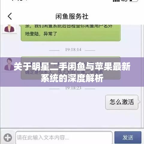关于明星二手闲鱼与苹果最新系统的深度解析