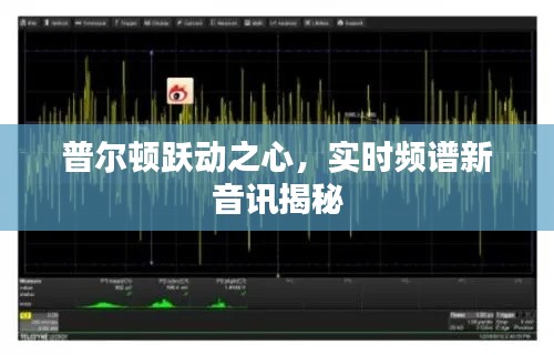 普尔顿跃动之心,实时频谱新音讯揭秘