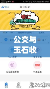公交与玉石收藏,一站式App满足出行与收藏需求