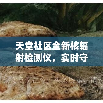 天堂社区全新核辐射检测仪，实时守护您的健康安全，轻松掌握辐射动态！