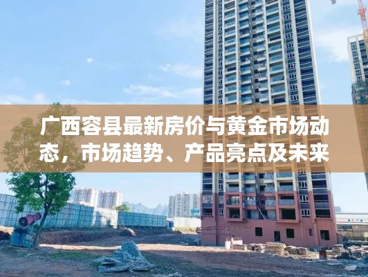 广西容县最新房价与黄金市场动态，市场趋势、产品亮点及未来展望
