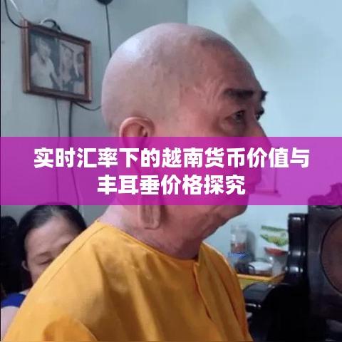 实时汇率下的越南货币价值与丰耳垂价格探究