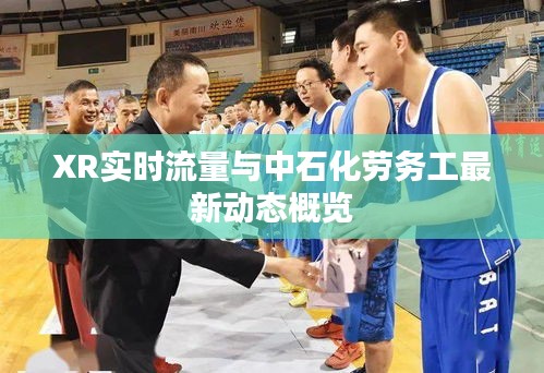 XR实时流量与中石化劳务工最新动态概览