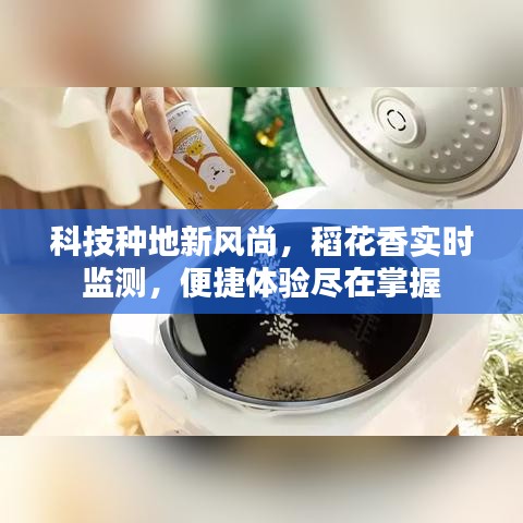 科技种地新风尚，稻花香实时监测，便捷体验尽在掌握