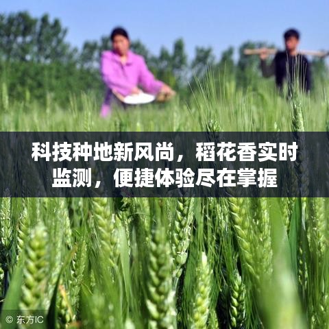 科技种地新风尚,稻花香实时监测,便捷体验尽在掌握