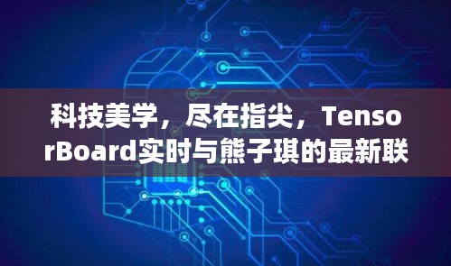 科技美学,尽在指尖,TensorBoard实时与熊子琪的最新联动体验