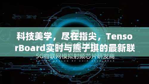 科技美学,尽在指尖,TensorBoard实时与熊子琪的最新联动体验