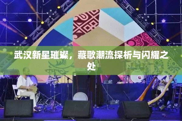 武汉新星璀璨,藏歌潮流探析与闪耀之处
