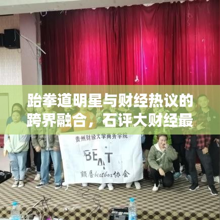 跆拳道明星与财经热议的跨界融合,石评大财经最新一期聚焦财经与艺术的交融