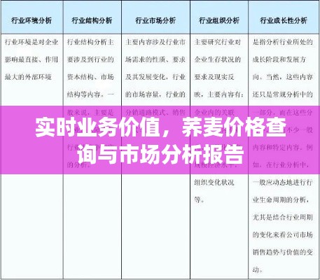 实时业务价值,荞麦价格查询与市场分析报告