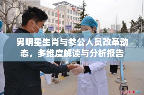 男明星生肖与参公人员改革动态，多维度解读与分析报告